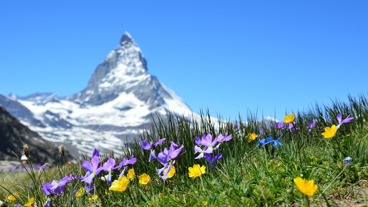 スイスの公用語は英語？旅行前に知るべき8つのポイント