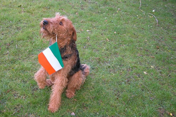 アイルランド国旗を徹底分析！国旗が持つ6つの秘密とは？