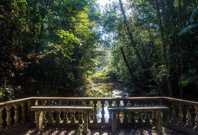 初ペナン島旅行で絶対したい超おすすめ観光8選！ペナン植物園