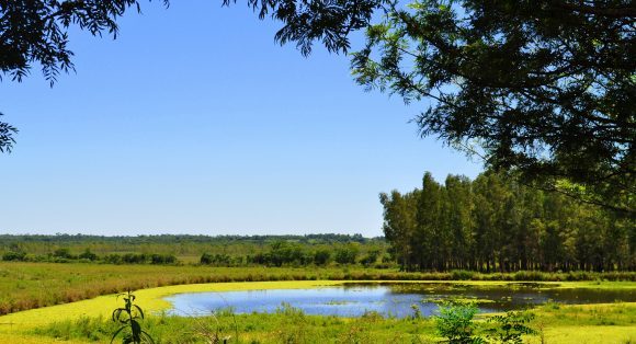 パラグアイの天気を徹底調査！旅行前に知りたい7つの特徴！