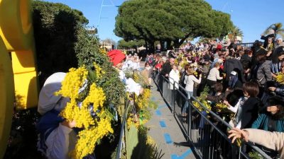 フランスの1月、2月、3月おすすめ人気イベント特集！ミモザ祭り