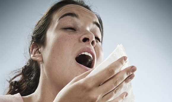 オーストラリアで花粉症は？オーストラリア人の6つのアレルギー事情！
